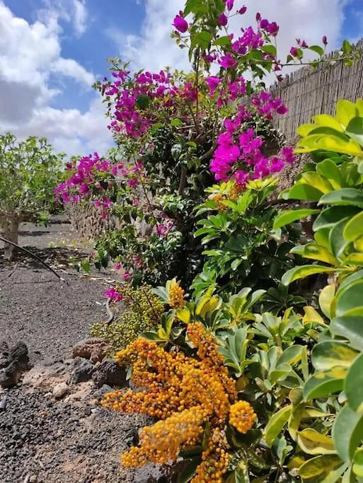 Casa Yukka Villa With Heated Pool Lajares